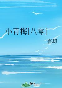 小青梅[八零]